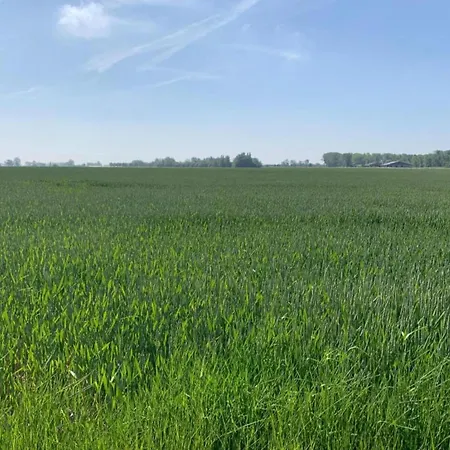 Westdiep 4 Located Near The 아파트